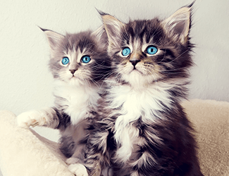 低空無人機(jī)測(cè)繪：高效、精確、廣泛應(yīng)用的新興技術(shù)