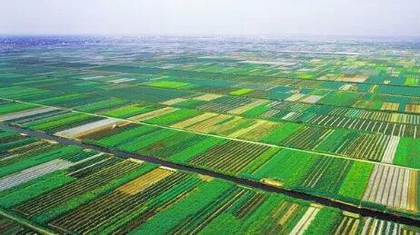 三調(diào)將以“六統(tǒng)一”的自然資源調(diào)查監(jiān)測(cè)體系全面開(kāi)展 三調(diào)將以“六統(tǒng)一”的自然資源調(diào)查監(jiān)測(cè)體系全面開(kāi)展